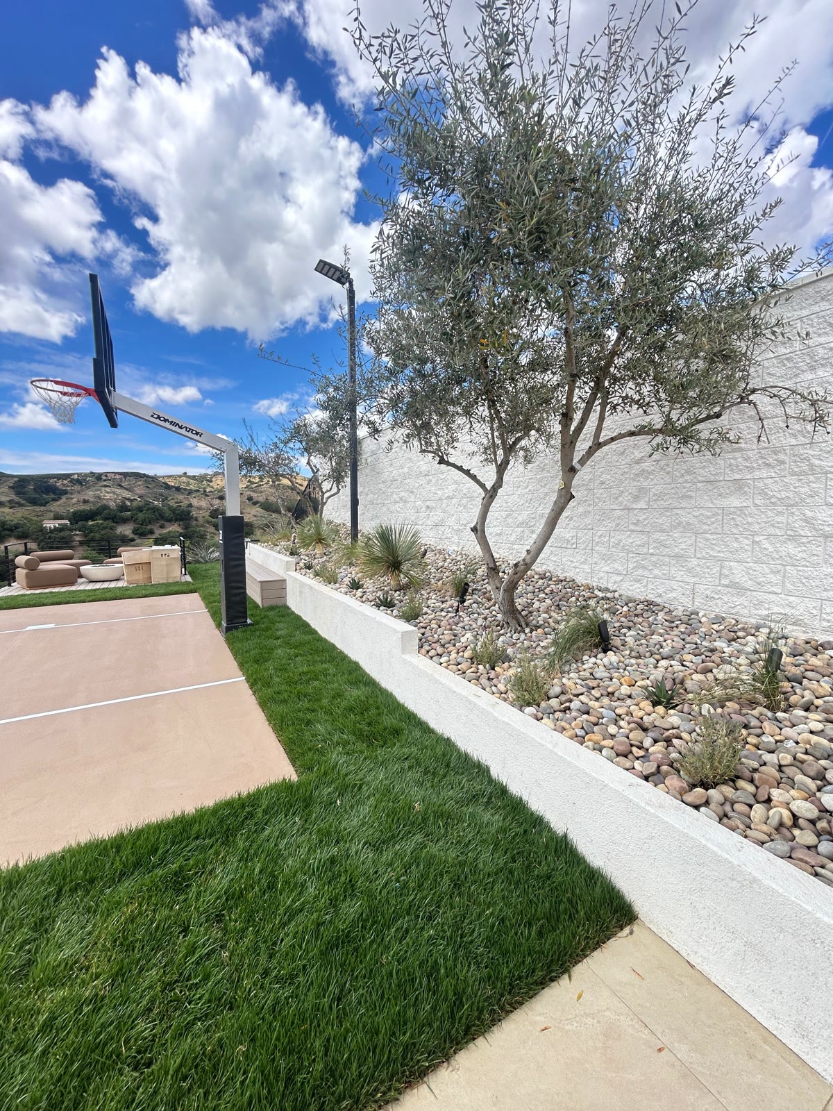 Basketball hoop and court edge with olive tree and rock landscaping