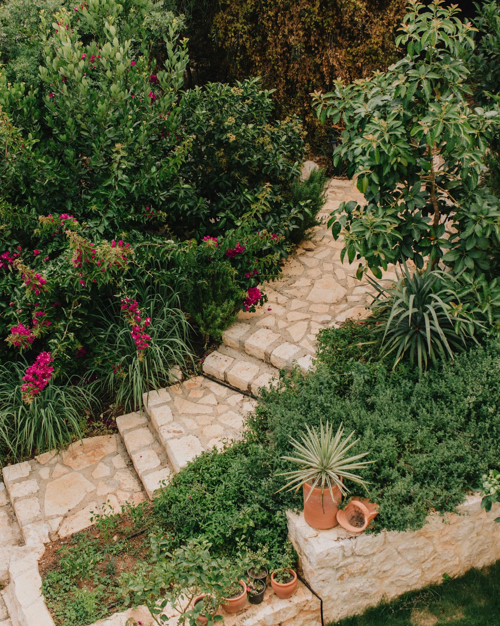 Natural stone tile steps winding through a garden