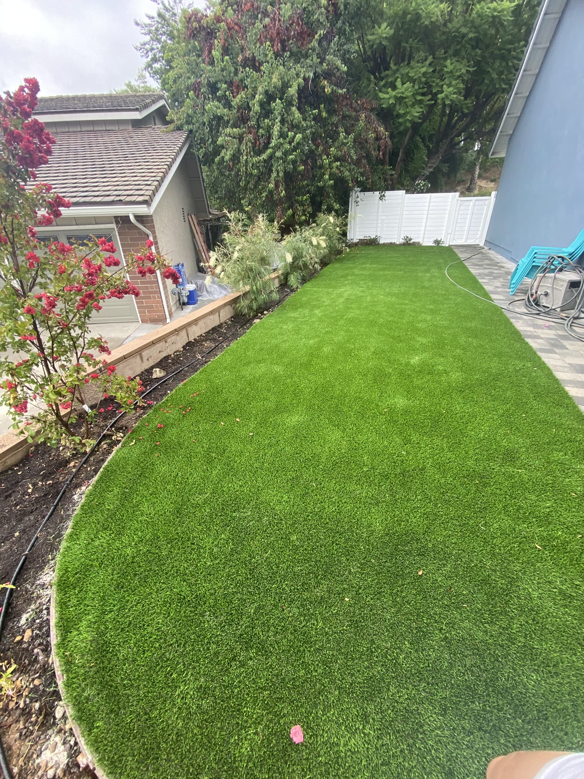 Curved turf lawn bordered by flowering shrubs