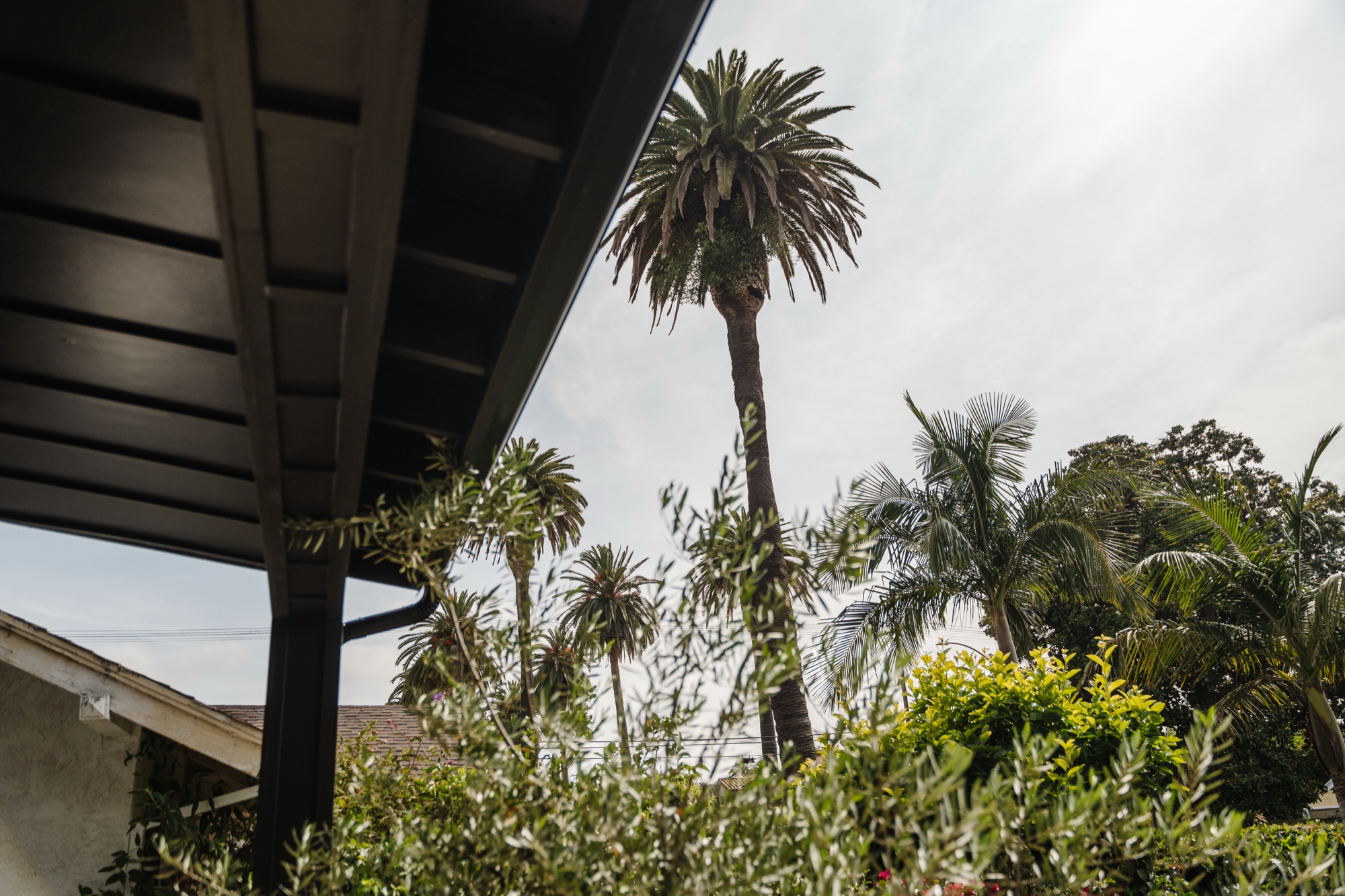 Backyard - Grover family — New Vision Builders